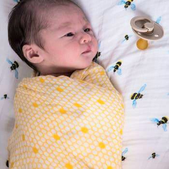 Busy Bees Swaddle Set