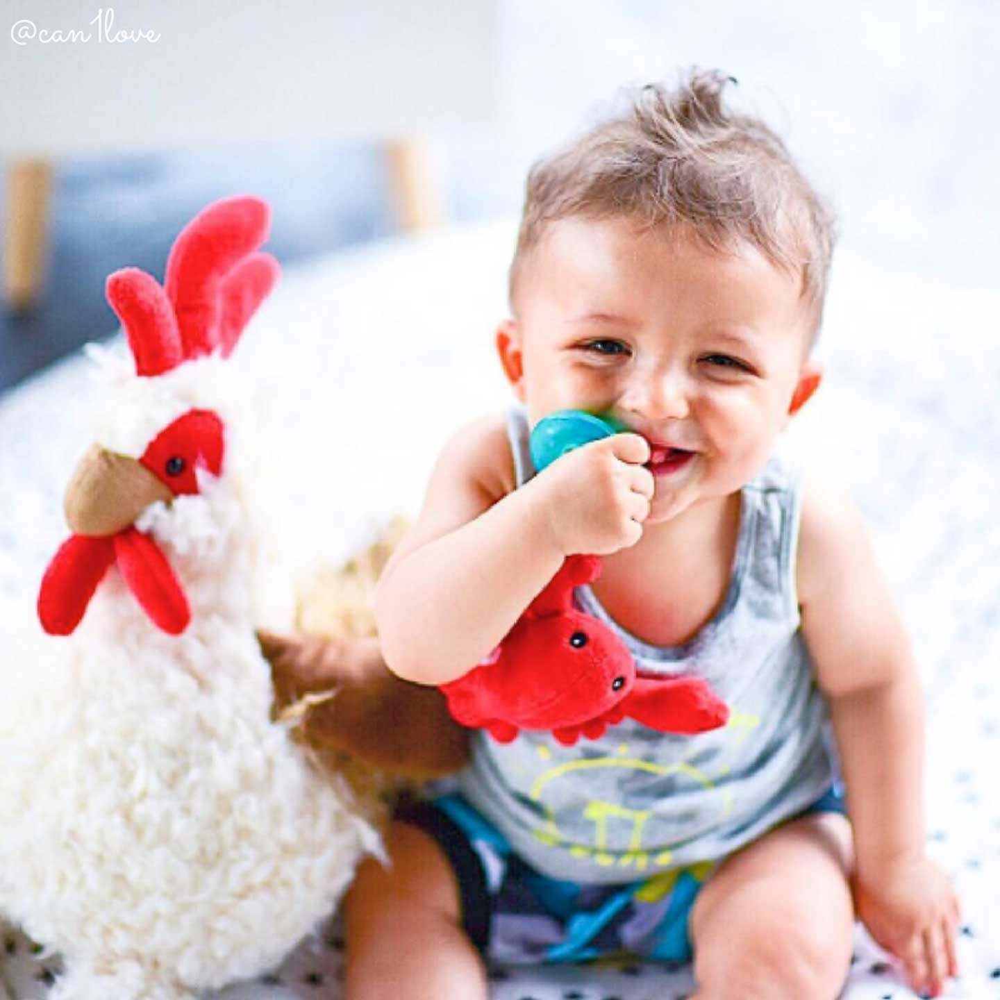 Lobbie Lobster WubbaNub Pacifier