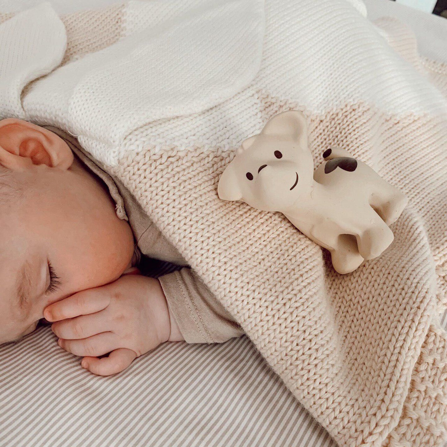 Puppy - Natural Rubber Rattle
