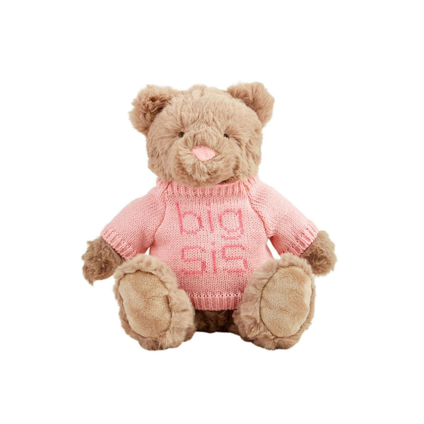 Big Sis & Big Bro Plush Bear