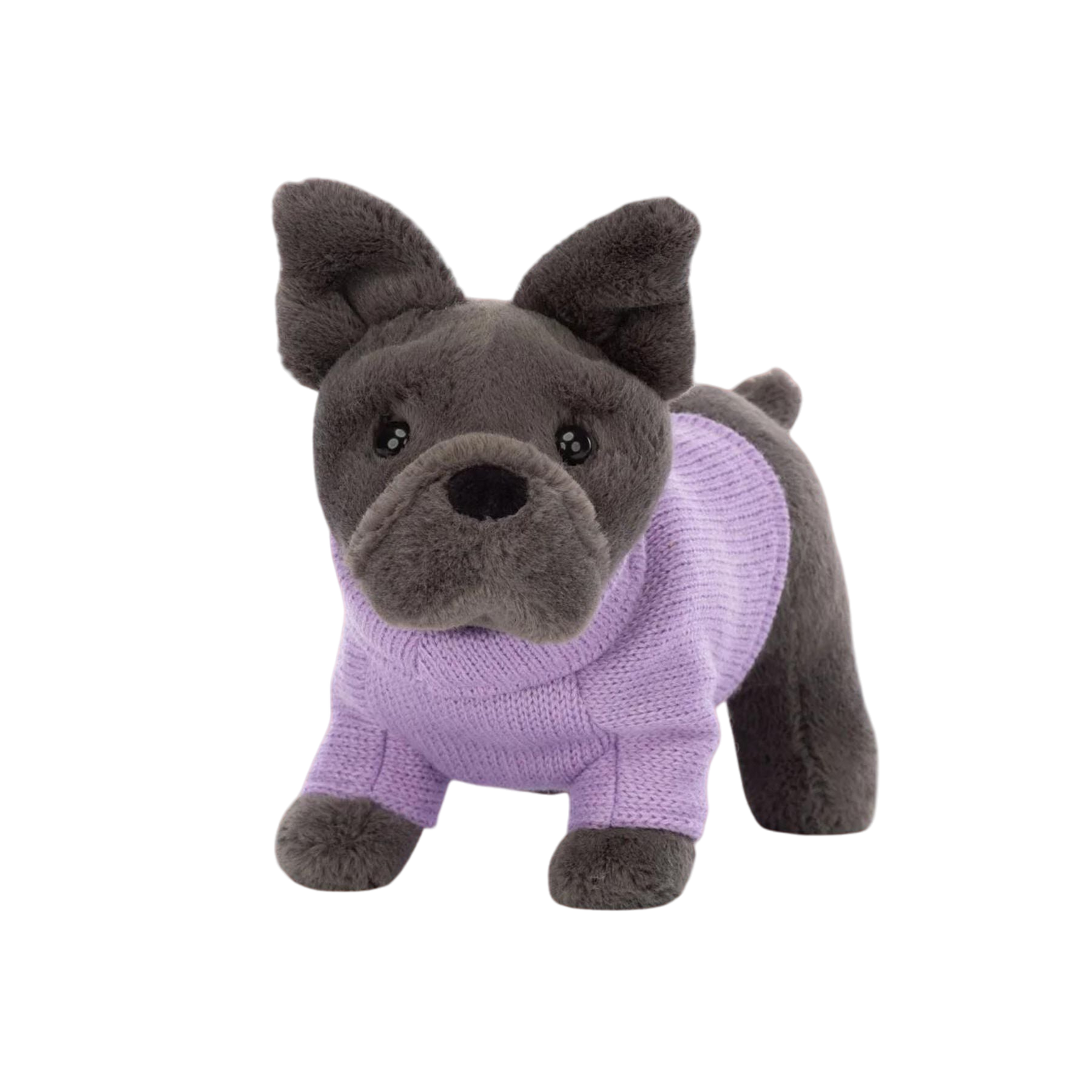 Purple Sweater French Bulldog