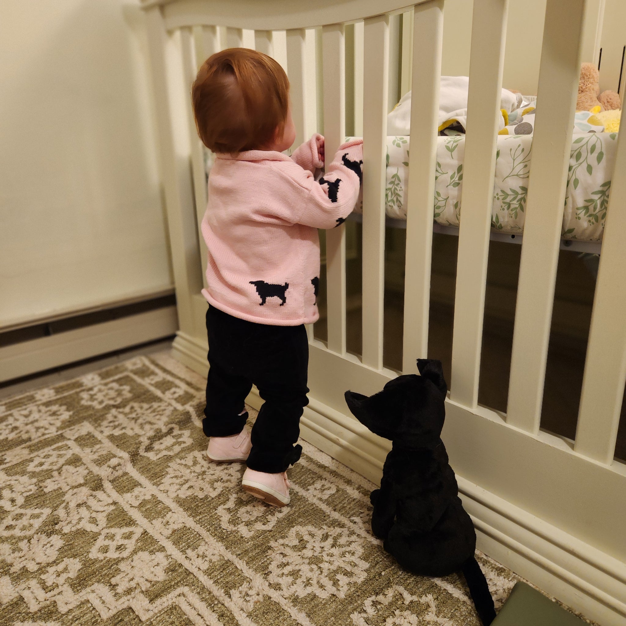 Black Dogs Sweater