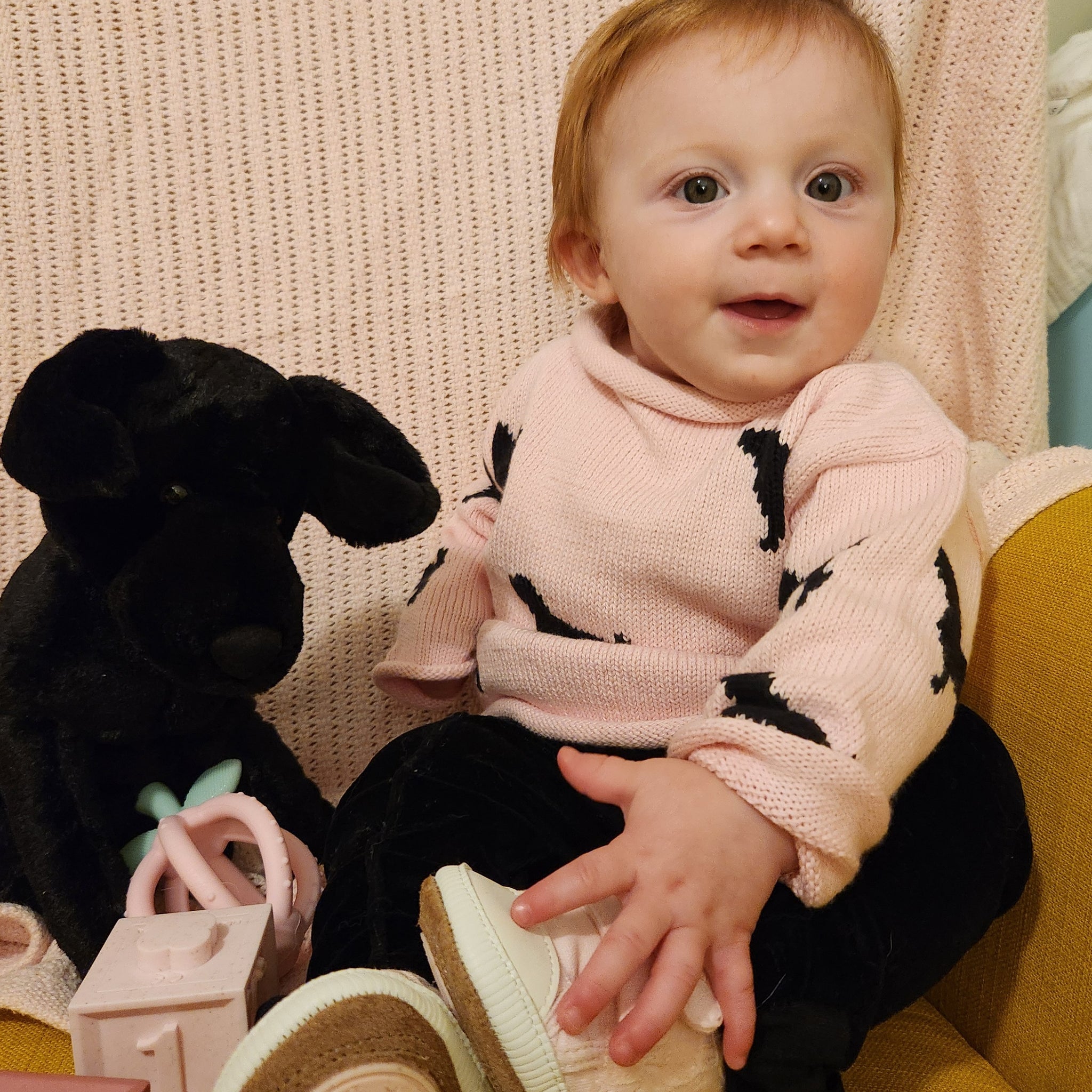 Black Dogs Sweater