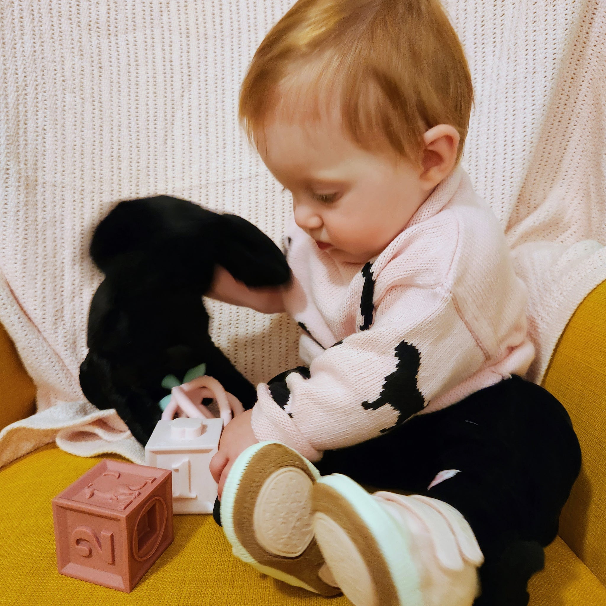 Black Dogs Sweater