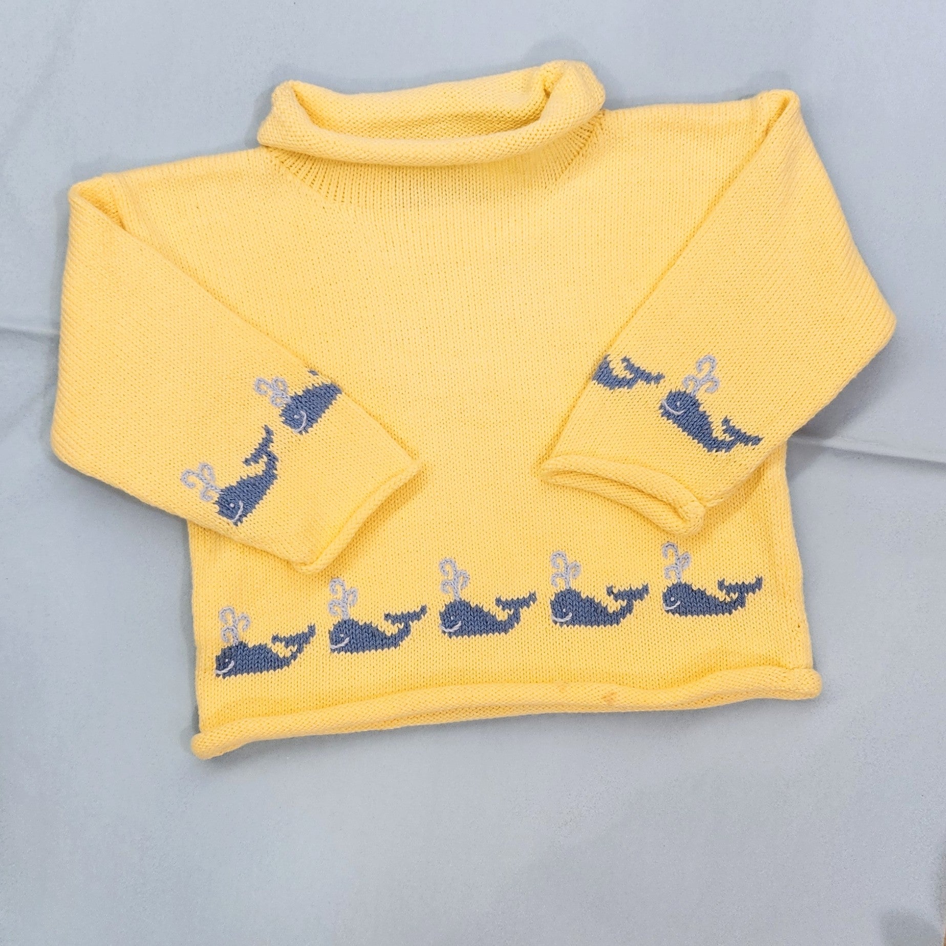Whale Trim Rollneck Sweater