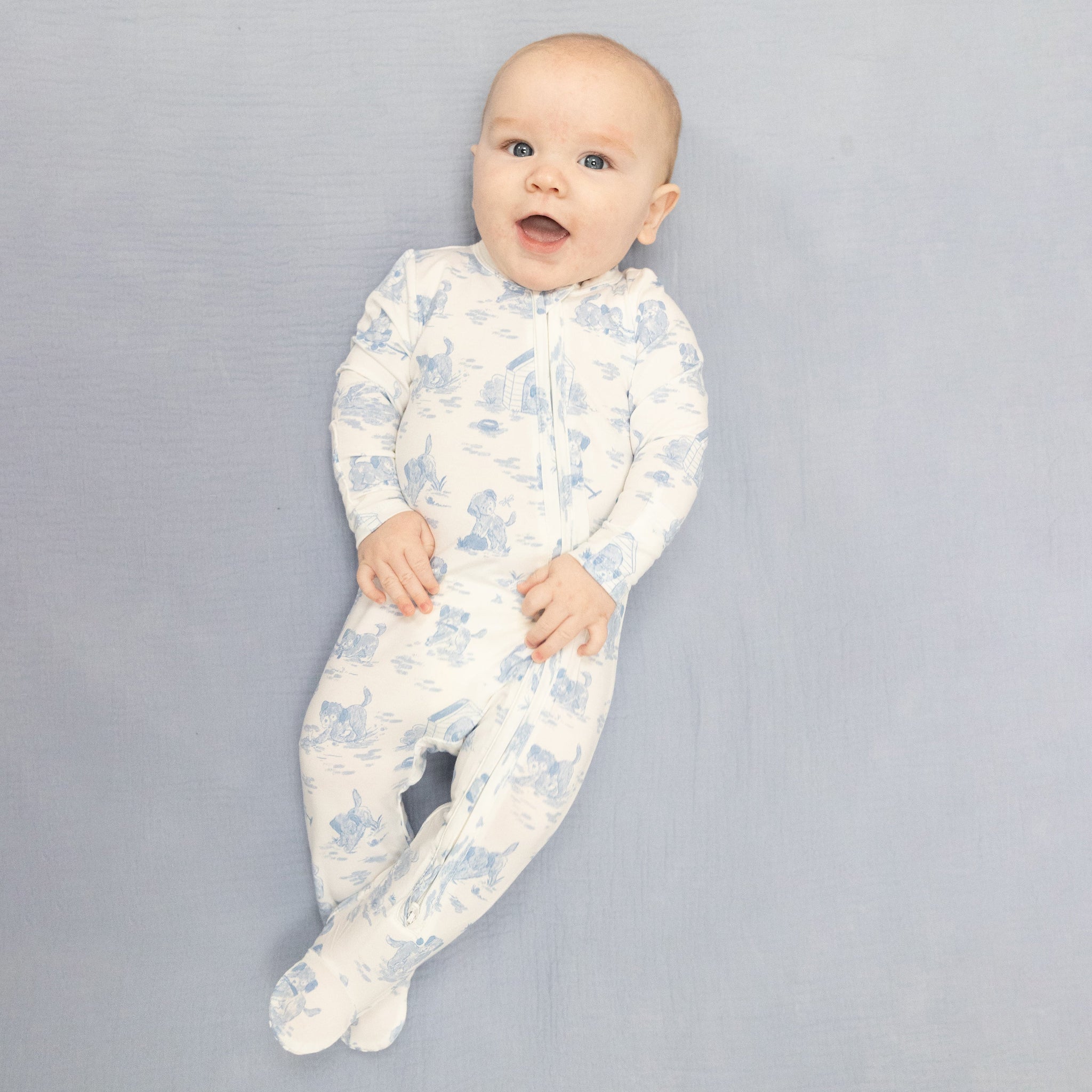 Blue Puppy Toile Footie