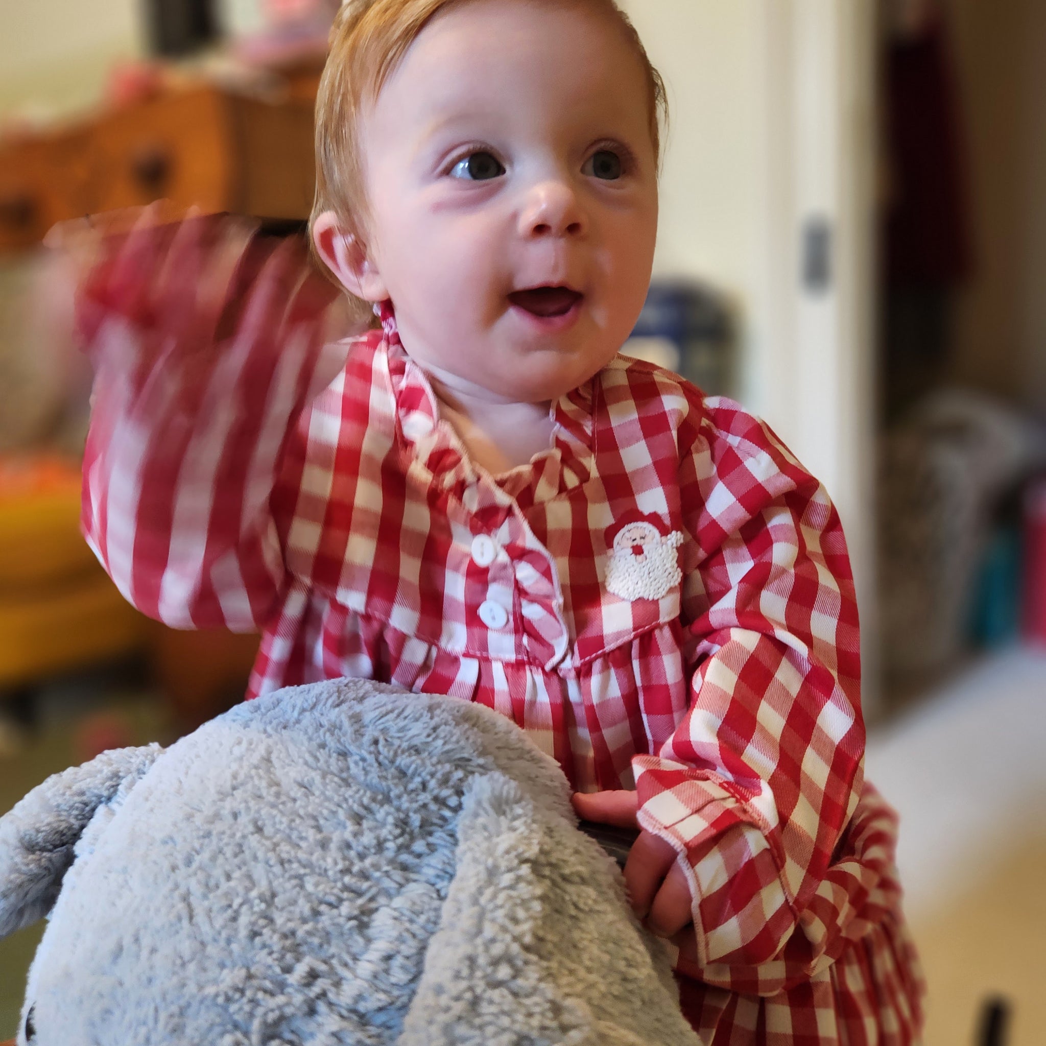 Gingham Nightgown with Santa Motif