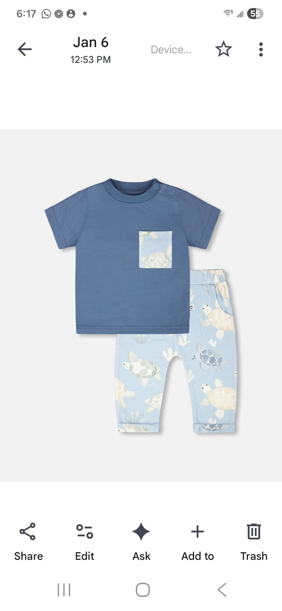 Organic Cotton Tee Shirt & Pant Set in Turtle Print