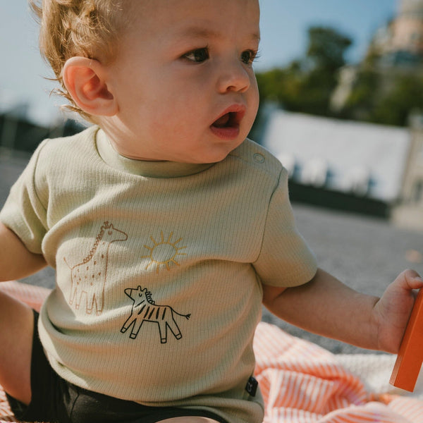 Jungle Animals Tee Shirt & Short Set