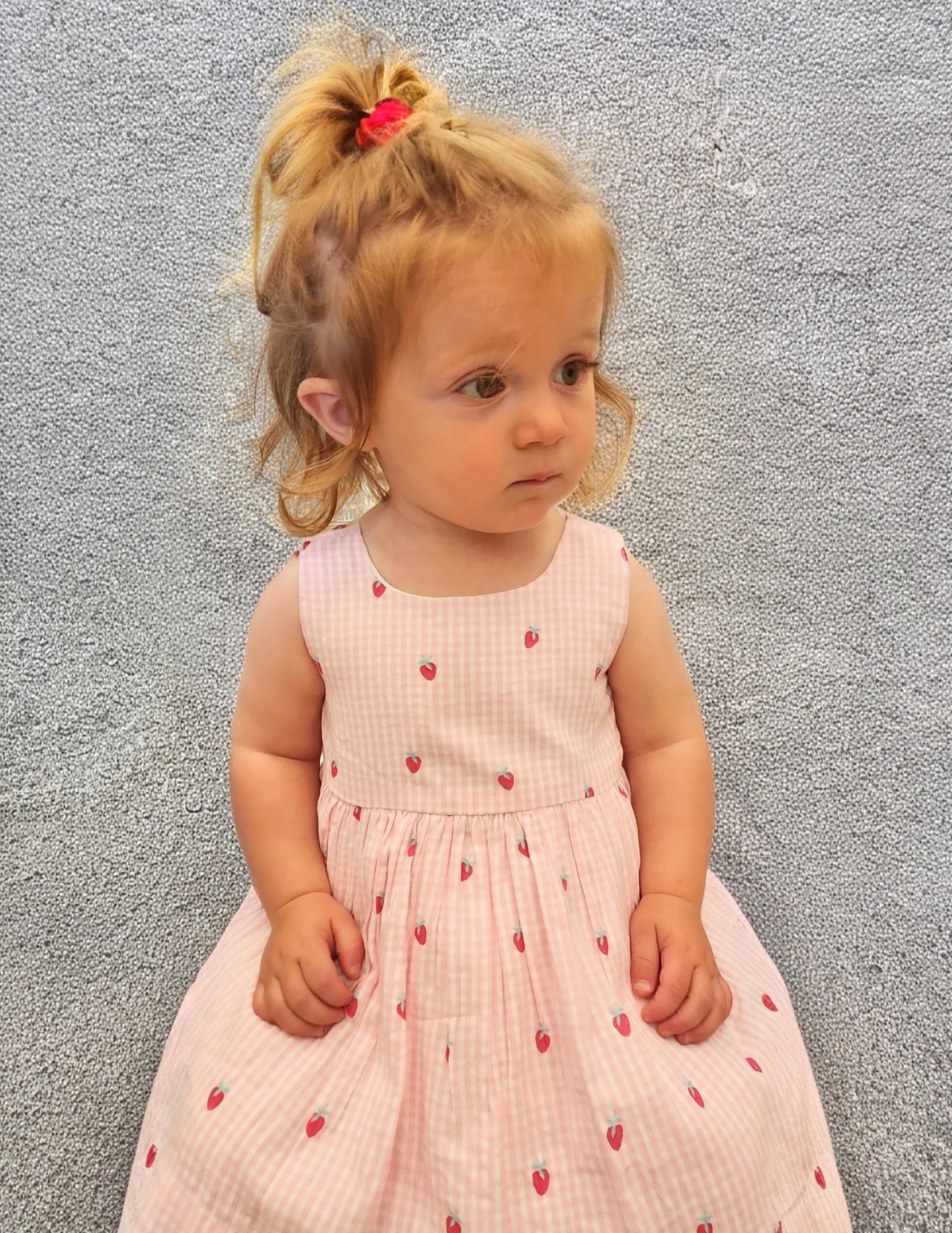 Teeny Berries Gingham Seersucker Dress