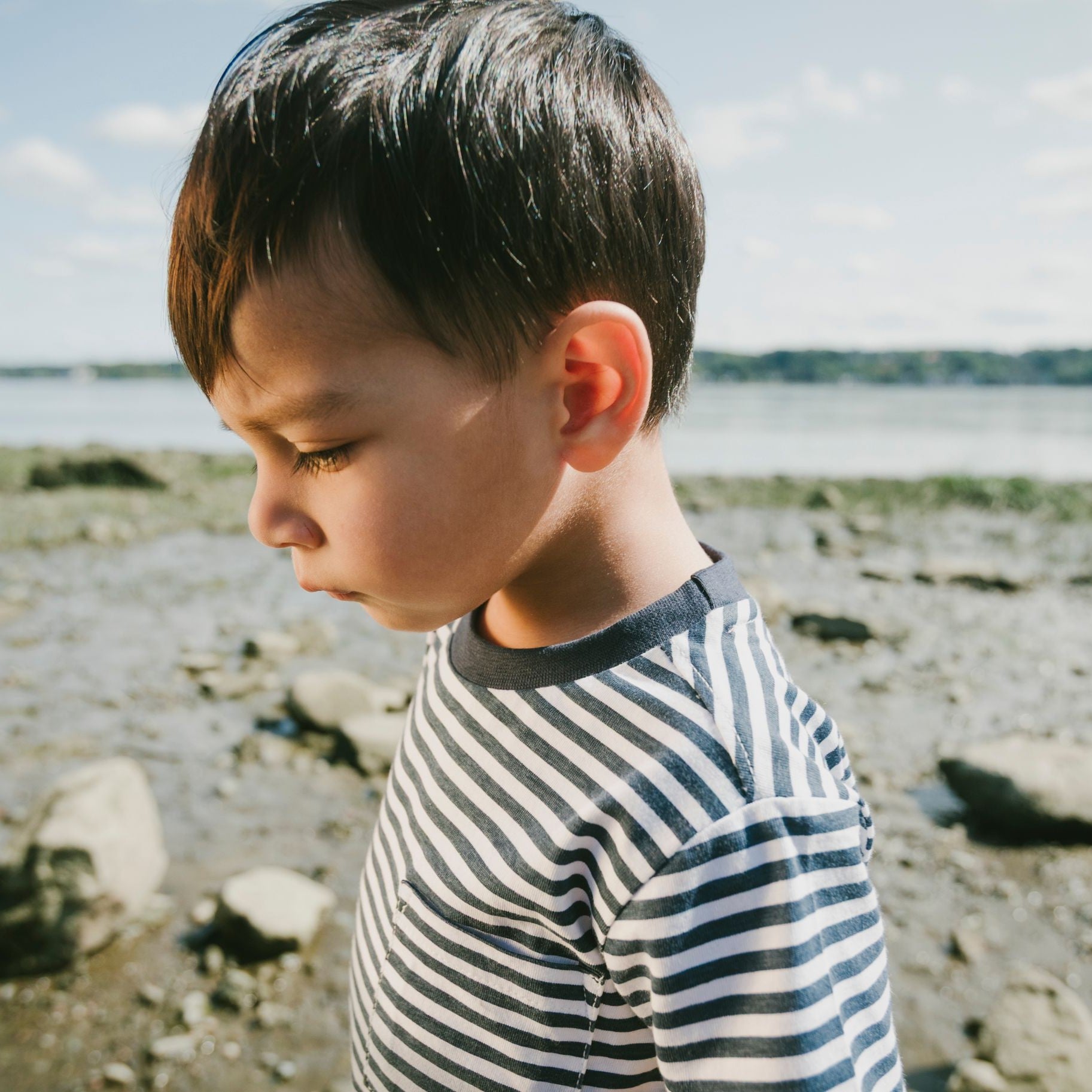 Organic Cotton Blue Gradient Stripes Tee Shirt